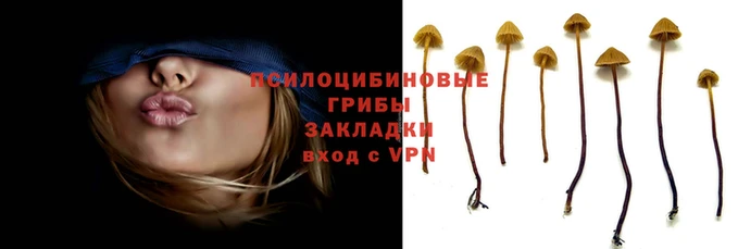 герыч Дмитров