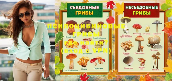 герыч Дмитров