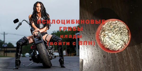 наркотики Дмитриев