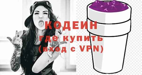 индика Гусев