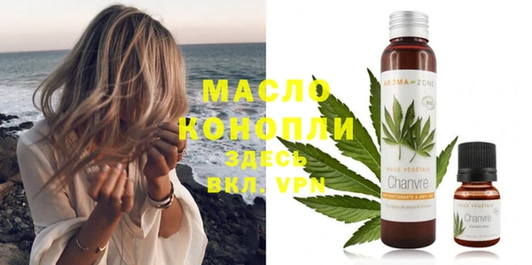 индика Гусев